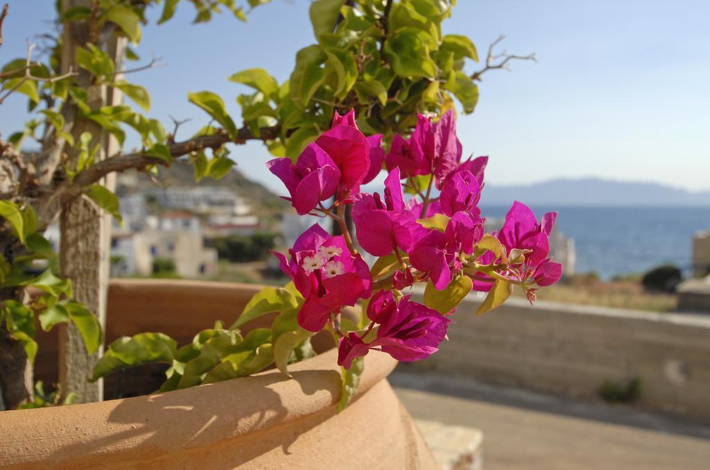 Pantonia Apartments Agia Pelagia  Bilik gambar