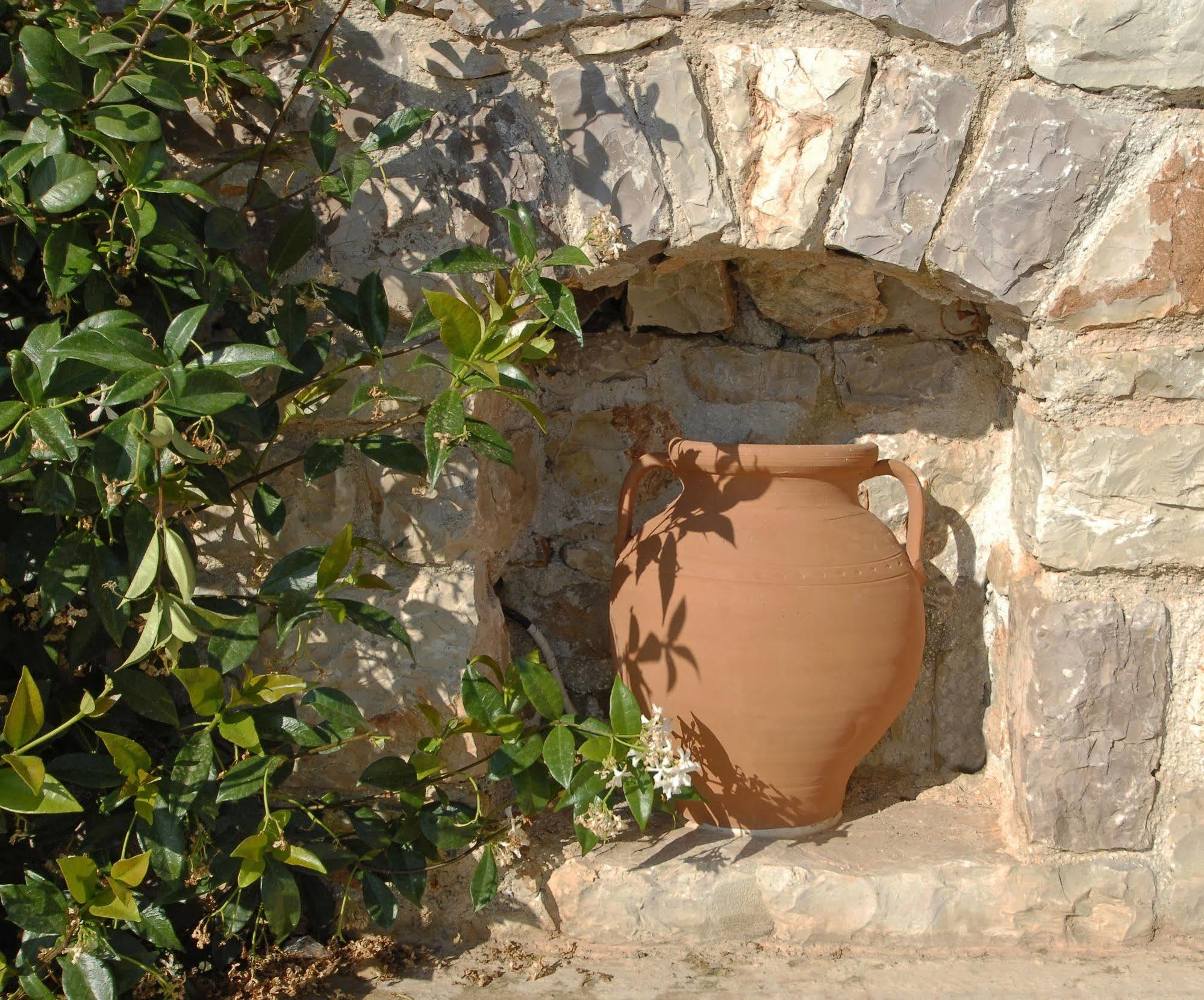 Pantonia Apartments Agia Pelagia  Luaran gambar